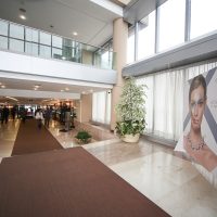IMG_8964w